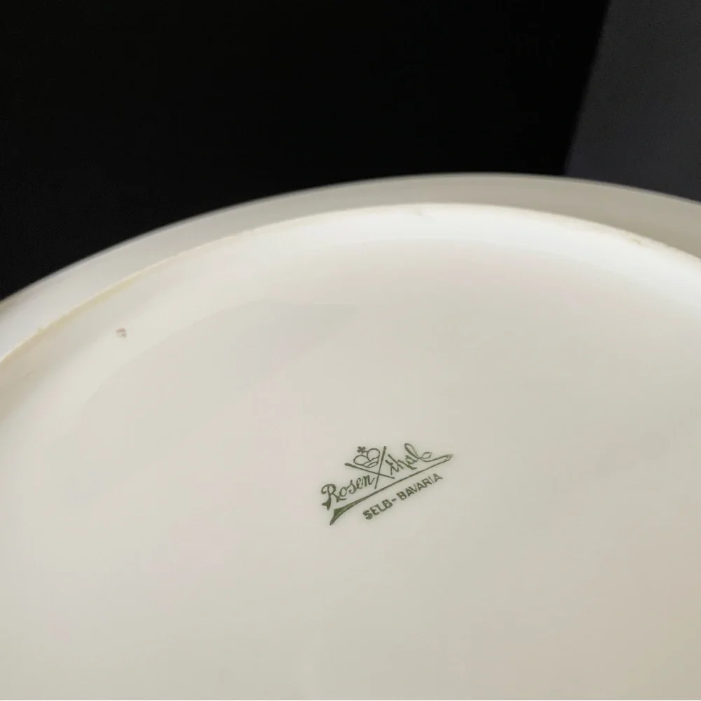 SET of 3 Parrot Bird Floral Dinner Plates - Rosenthal